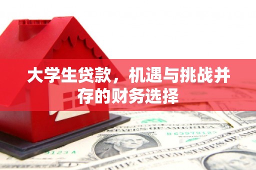 西峡大学生贷款，机遇与挑战并存的财务选择