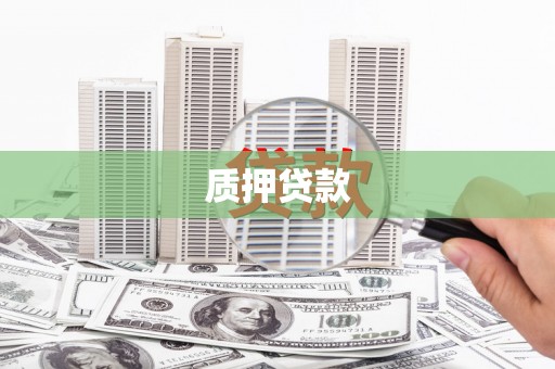 镇平质押贷款