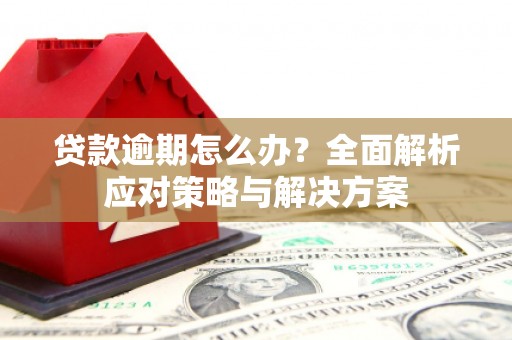 长洲贷款逾期怎么办？全面解析应对策略与解决方案