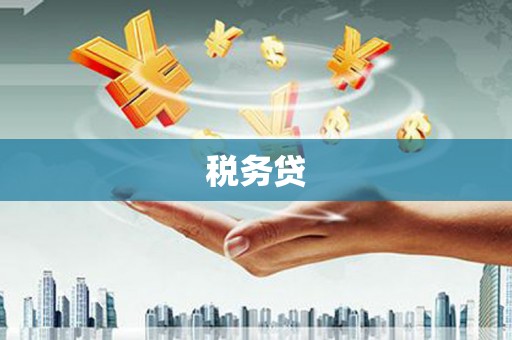 安岳税务贷
