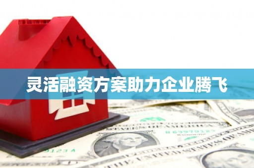 济宁灵活融资方案助力企业腾飞