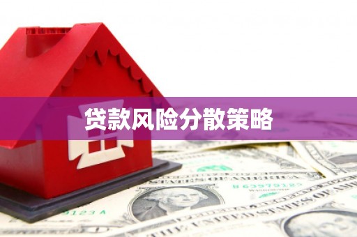 望谟贷款风险分散策略