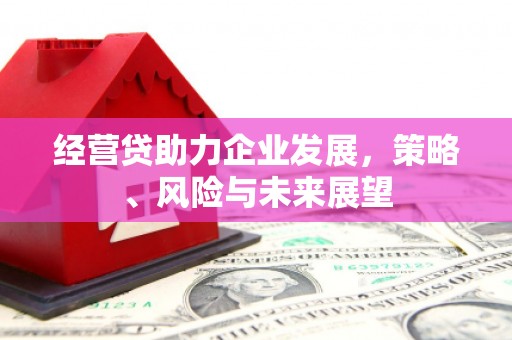 迪庆经营贷助力企业发展，策略、风险与未来展望