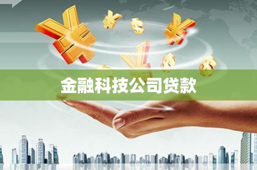 南溪金融科技公司贷款