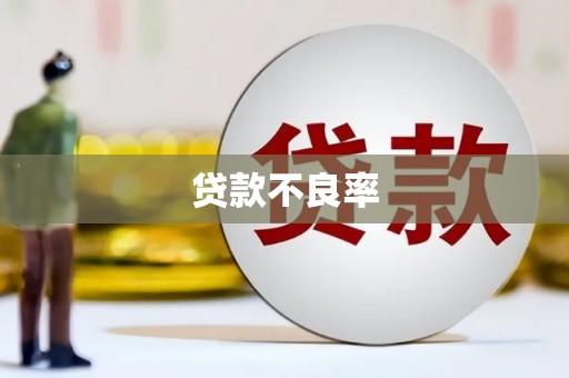 濮阳贷款不良率