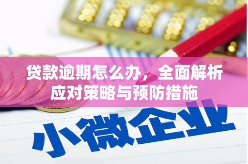 上城贷款逾期怎么办，全面解析应对策略与预防措施
