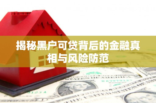 永寿揭秘黑户可贷背后的金融真相与风险防范