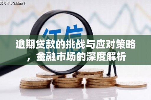 肥乡逾期贷款的挑战与应对策略，金融市场的深度解析