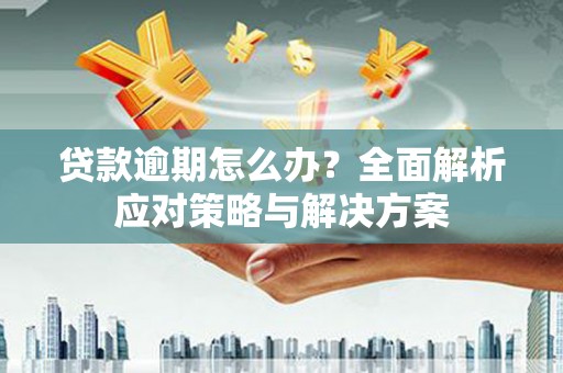 太麻里贷款逾期怎么办？全面解析应对策略与解决方案
