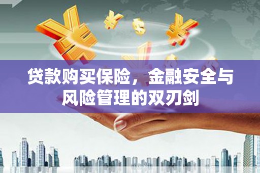 凤台贷款购买保险，金融安全与风险管理的双刃剑