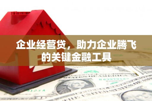 瑞芳企业经营贷，助力企业腾飞的关键金融工具