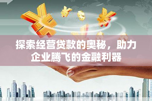 溆浦探索经营贷款的奥秘，助力企业腾飞的金融利器