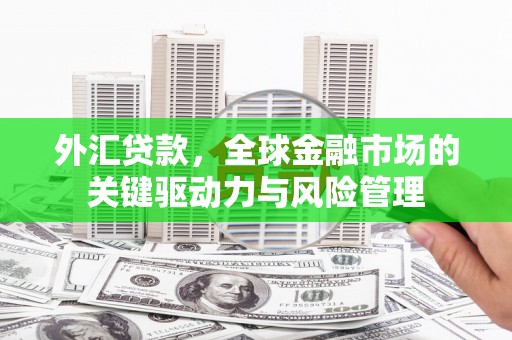 龙岗外汇贷款，全球金融市场的关键驱动力与风险管理