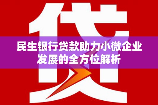 二水民生银行贷款助力小微企业发展的全方位解析