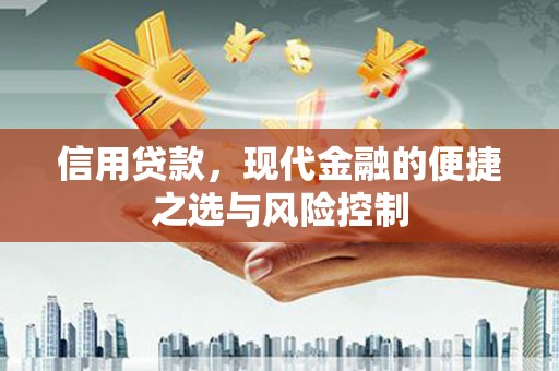 安乡信用贷款，现代金融的便捷之选与风险控制