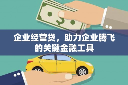 荔浦企业经营贷，助力企业腾飞的关键金融工具