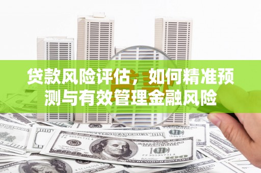 京口贷款风险评估，如何精准预测与有效管理金融风险