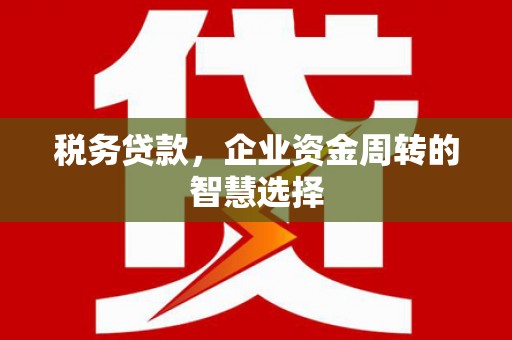 普湾新区税务贷款，企业资金周转的智慧选择