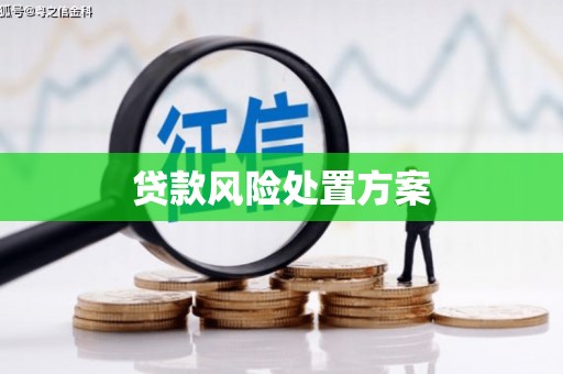 林芝贷款风险处置方案