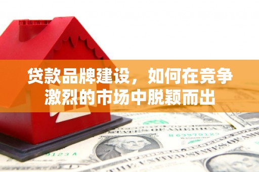 武平贷款品牌建设，如何在竞争激烈的市场中脱颖而出