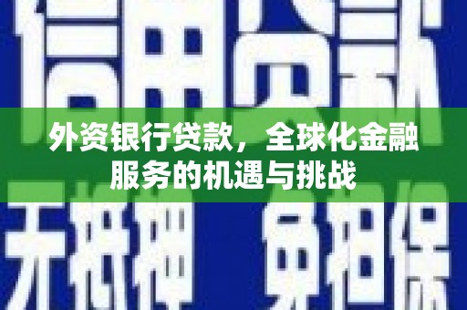 平南外资银行贷款，全球化金融服务的机遇与挑战