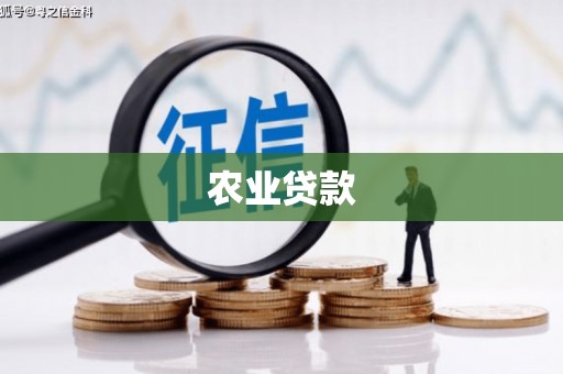 黄州农业贷款