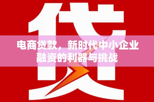 武山电商贷款，新时代中小企业融资的利器与挑战