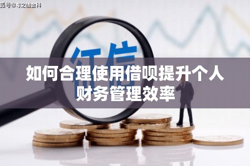 勐海如何合理使用借呗提升个人财务管理效率