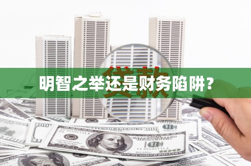 洋县明智之举还是财务陷阱？