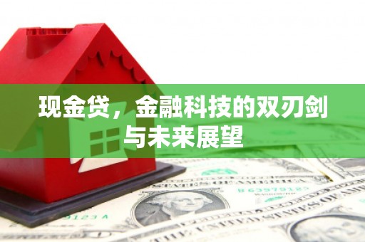 蔡甸现金贷，金融科技的双刃剑与未来展望