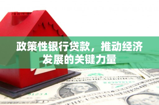 杏花岭政策性银行贷款，推动经济发展的关键力量
