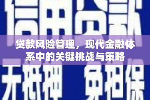 保德贷款风险管理，现代金融体系中的关键挑战与策略