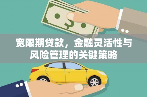 洮南宽限期贷款，金融灵活性与风险管理的关键策略