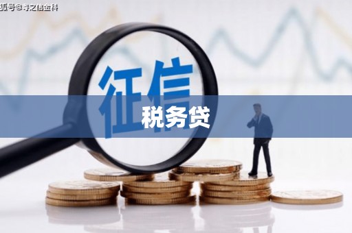 双清税务贷