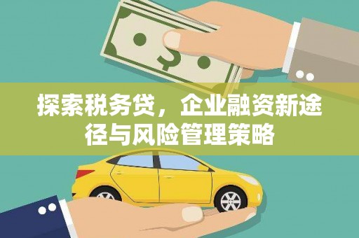 邢台探索税务贷，企业融资新途径与风险管理策略