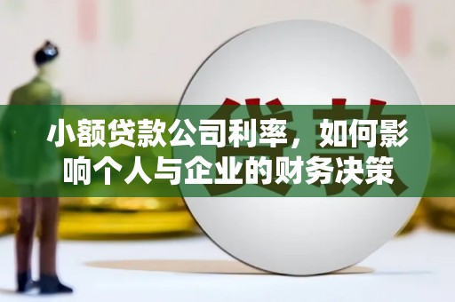姑苏小额贷款公司利率，如何影响个人与企业的财务决策