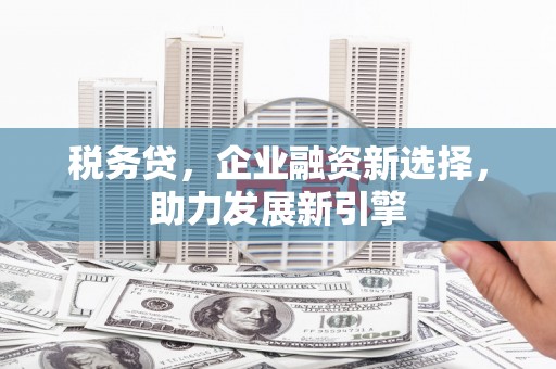 宜州税务贷，企业融资新选择，助力发展新引擎