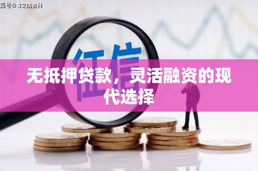 永州无抵押贷款，灵活融资的现代选择