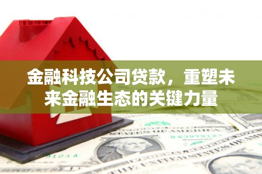 夏河金融科技公司贷款，重塑未来金融生态的关键力量