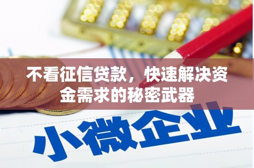南海不看征信贷款，快速解决资金需求的秘密武器