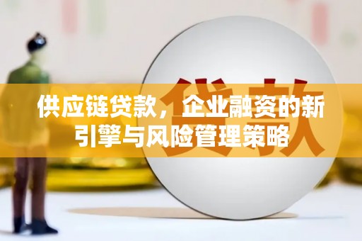 雄县供应链贷款，企业融资的新引擎与风险管理策略