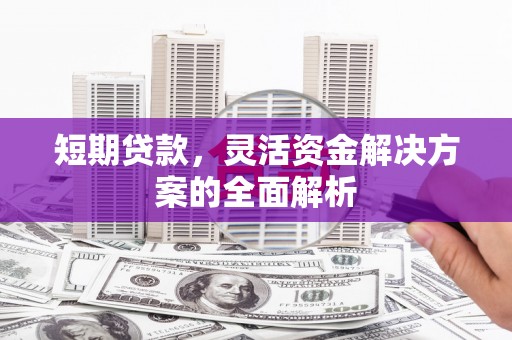 泸水短期贷款，灵活资金解决方案的全面解析