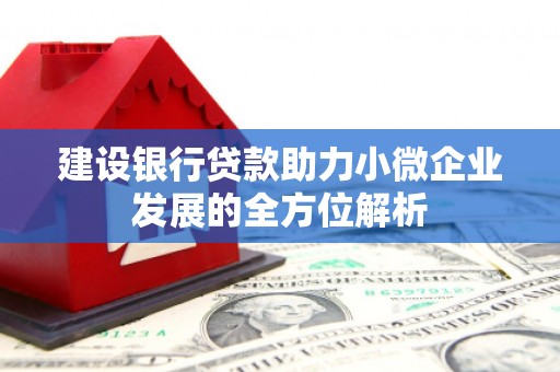 鼓楼建设银行贷款助力小微企业发展的全方位解析