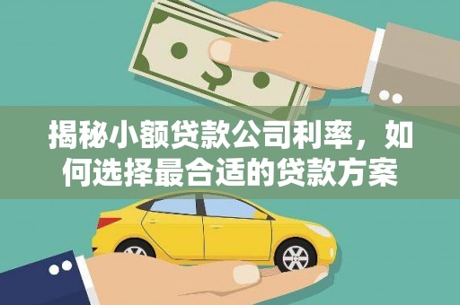 水里揭秘小额贷款公司利率，如何选择最合适的贷款方案