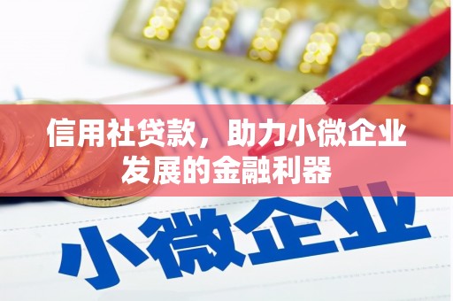 乌马河信用社贷款，助力小微企业发展的金融利器