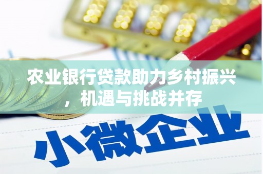 市中区农业银行贷款助力乡村振兴，机遇与挑战并存