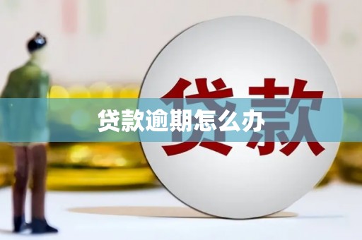 南投贷款逾期怎么办