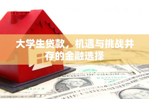 延吉大学生贷款，机遇与挑战并存的金融选择