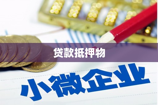 六龟贷款抵押物