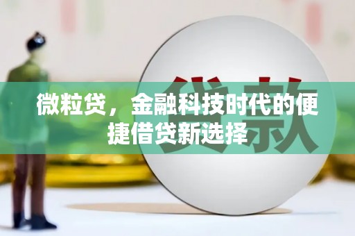 乐昌微粒贷，金融科技时代的便捷借贷新选择